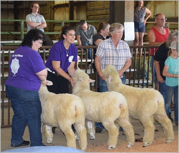 Kalina Family Farm team with their candidates for Best Young Flock. Photo: Peggy Lundquist.
